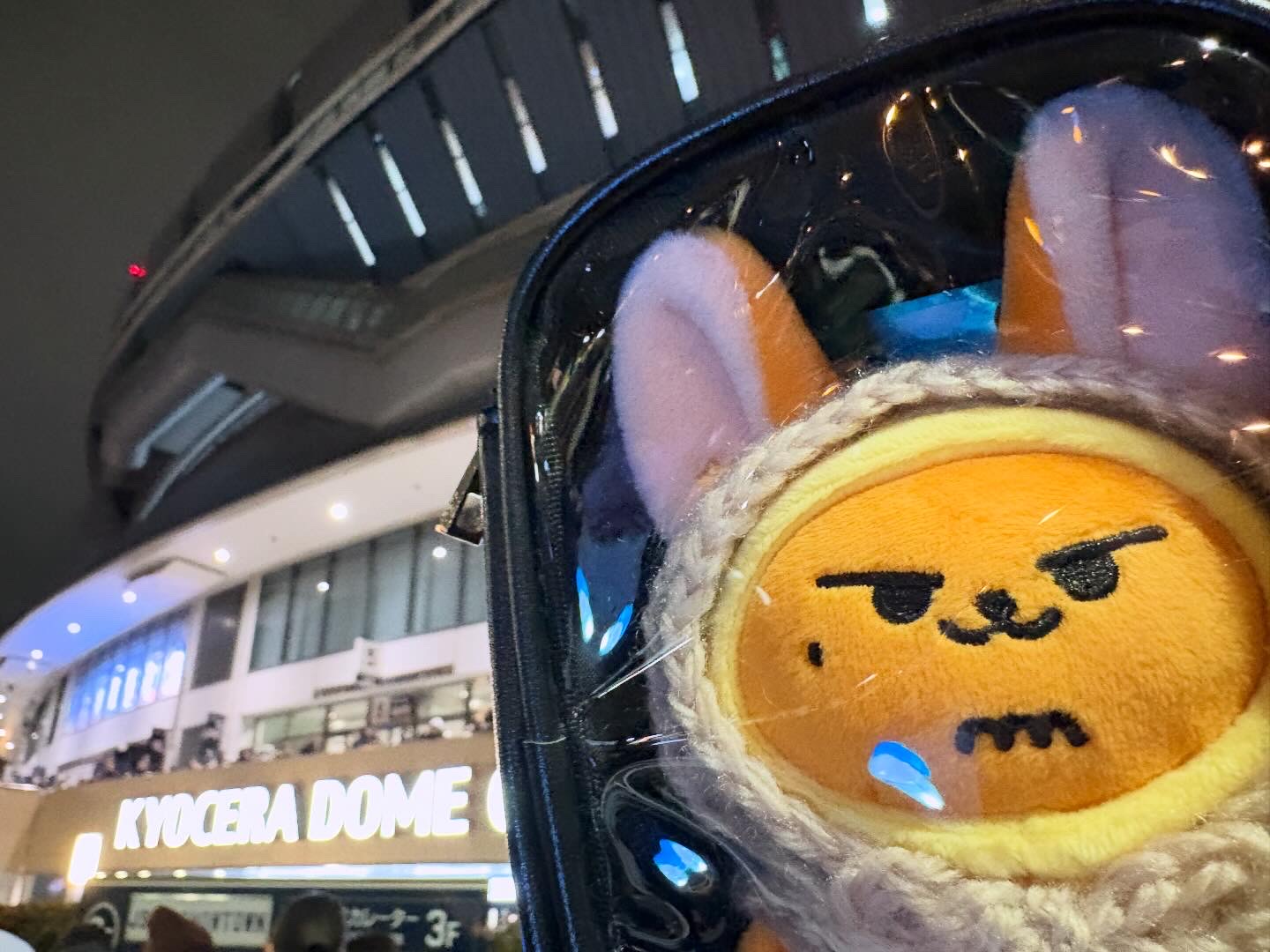 冬のコンサートに推し縫い持参で参戦したイメージ目的